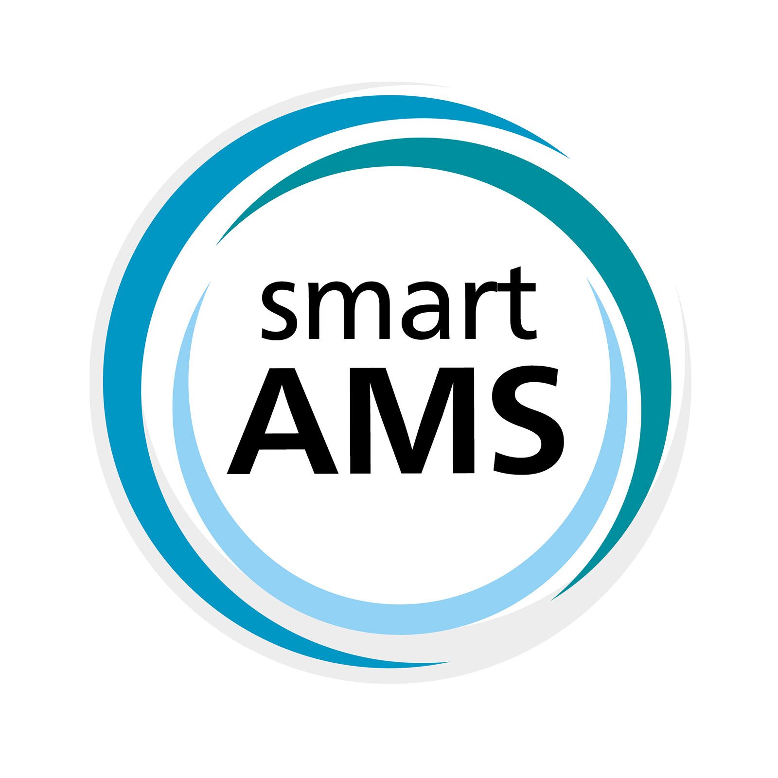 Smart Assembly Management System (Smart AMS) product photo